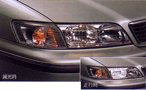Headlight darkening system