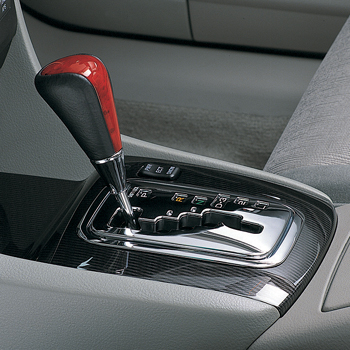 Shifter knob