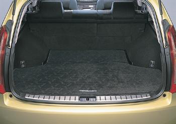 Trunk mat