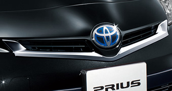 グリルガーニッシュ(メッキ)