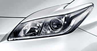 Headlight garnish