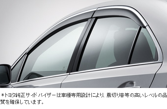Side visor (BASIC)