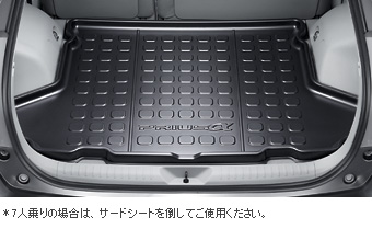 Luggage tray