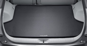 Luggage software tray