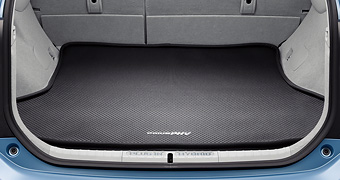 Luggage software tray