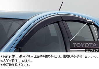 Side visor (BASIC)