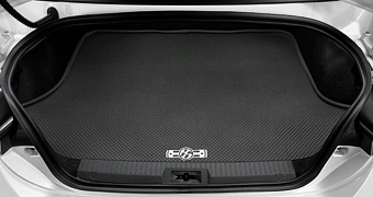 Luggage software tray