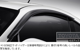 Side visor (BASIC)